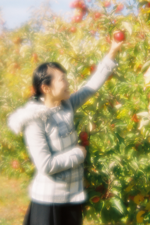 Apple Picker