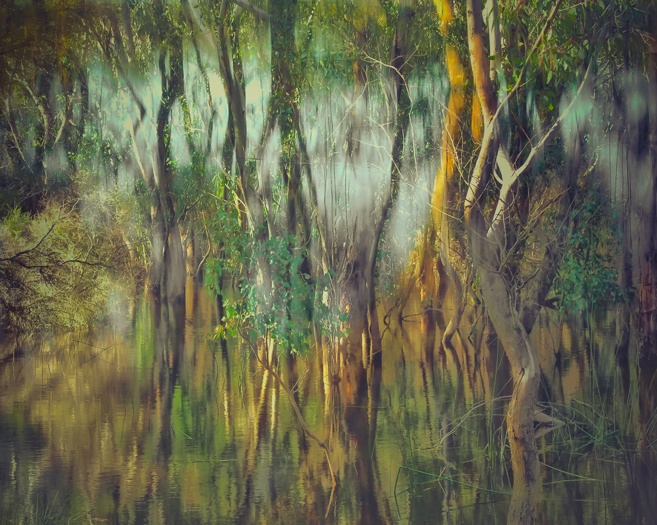 Awaiting Spring at Perry Lakes