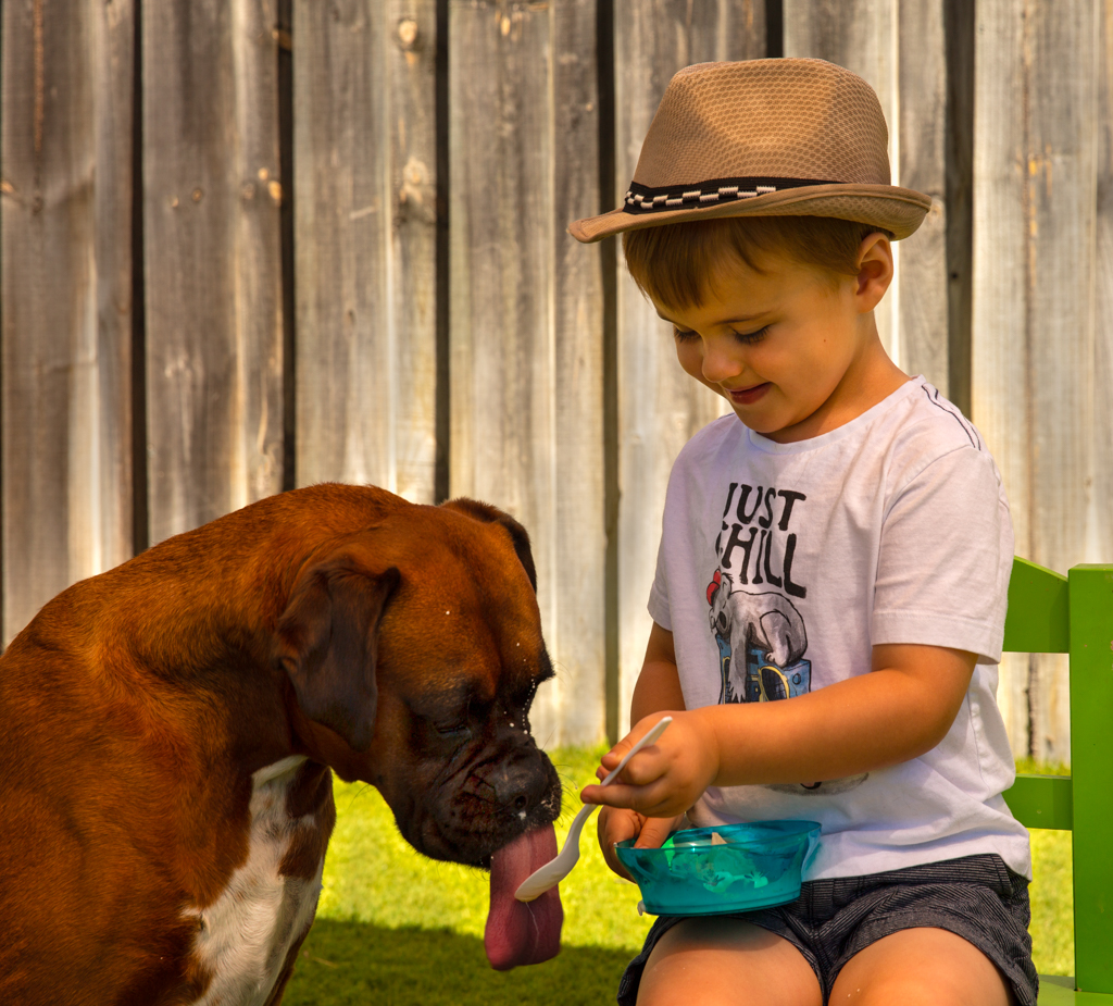 Boy and his Dog