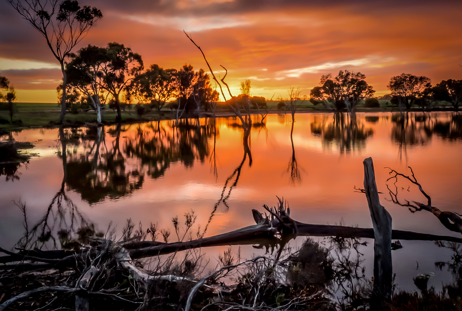 Dulbining Lake Dawn