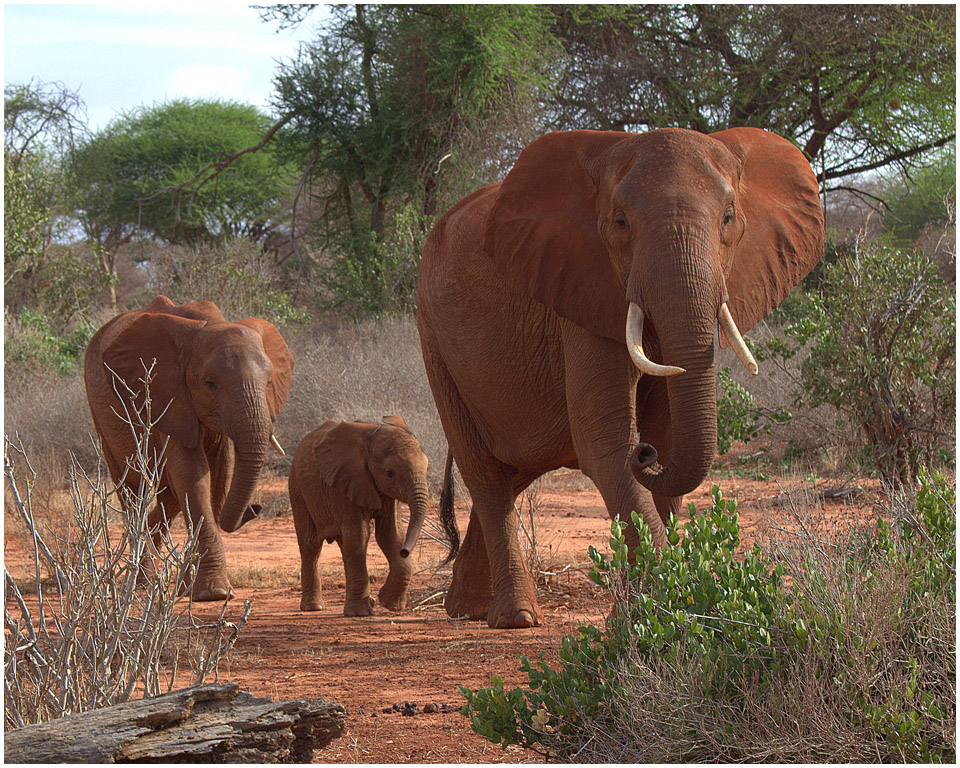 Family on the Move