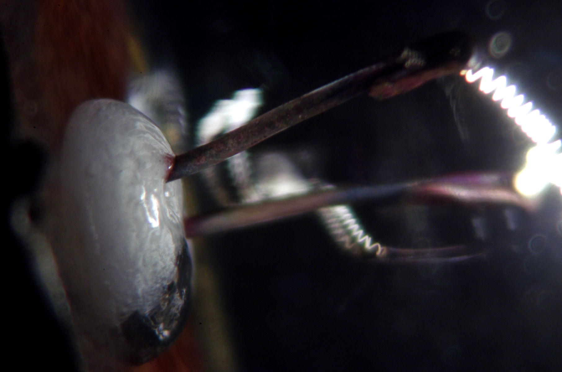 Filament