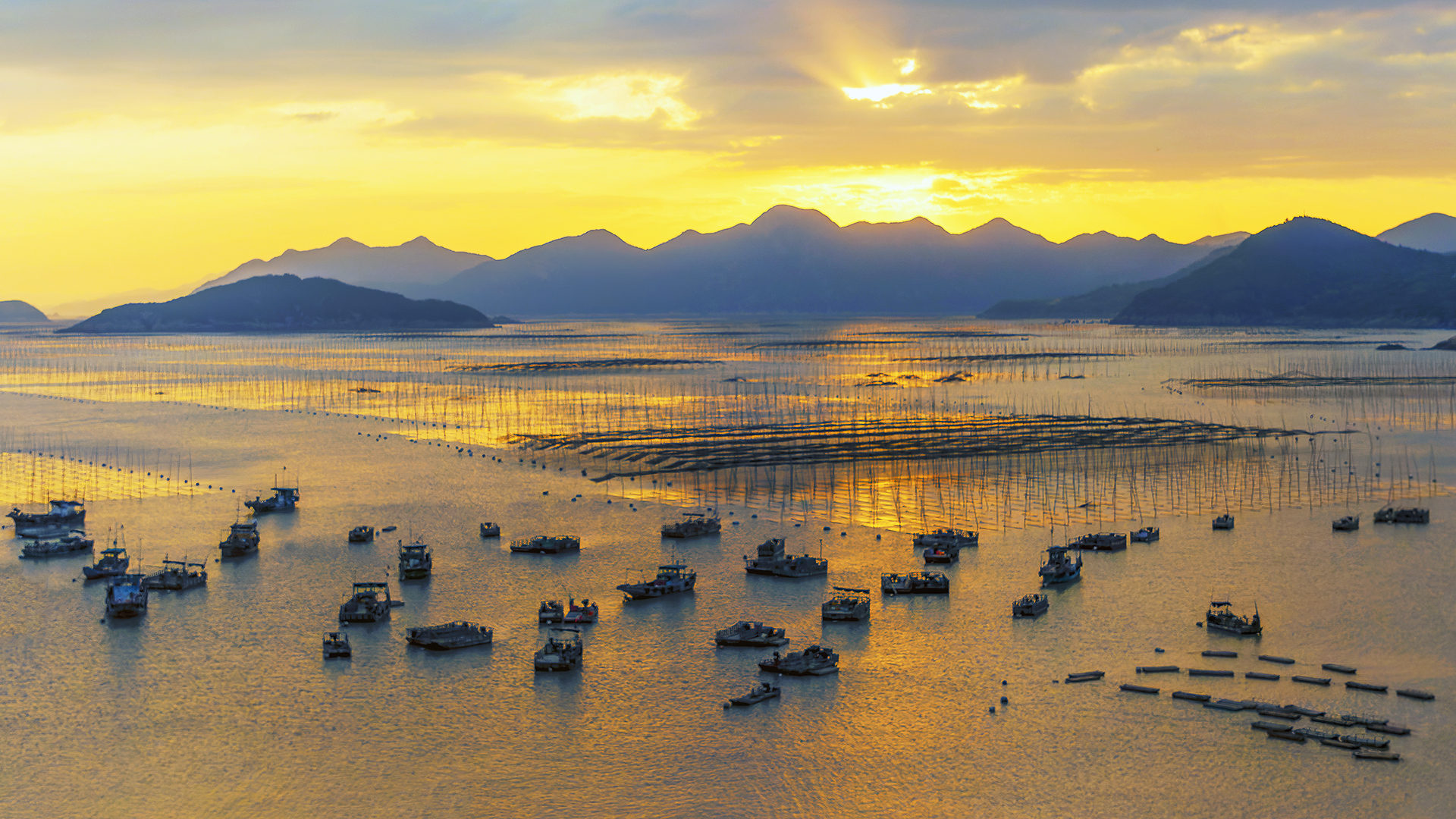 Golden Fishing Harbour