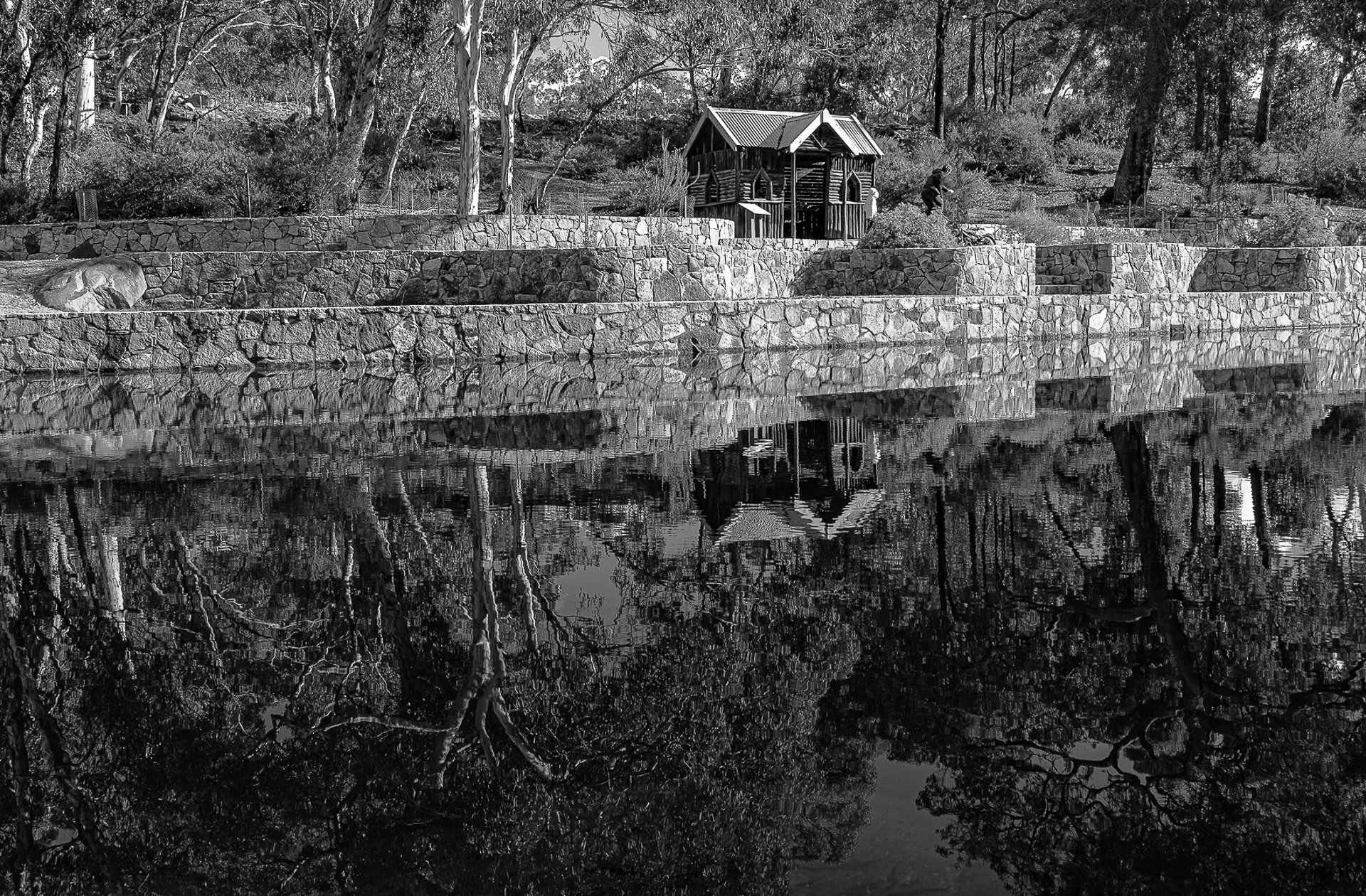 John Forest Lake