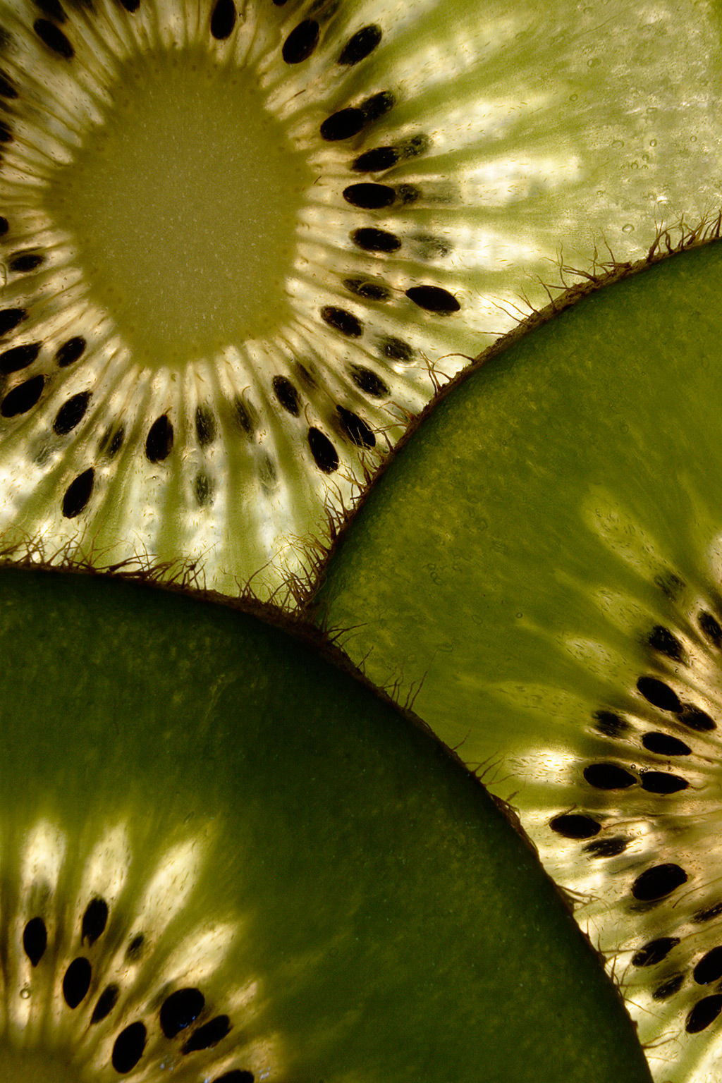 Kiwifruit