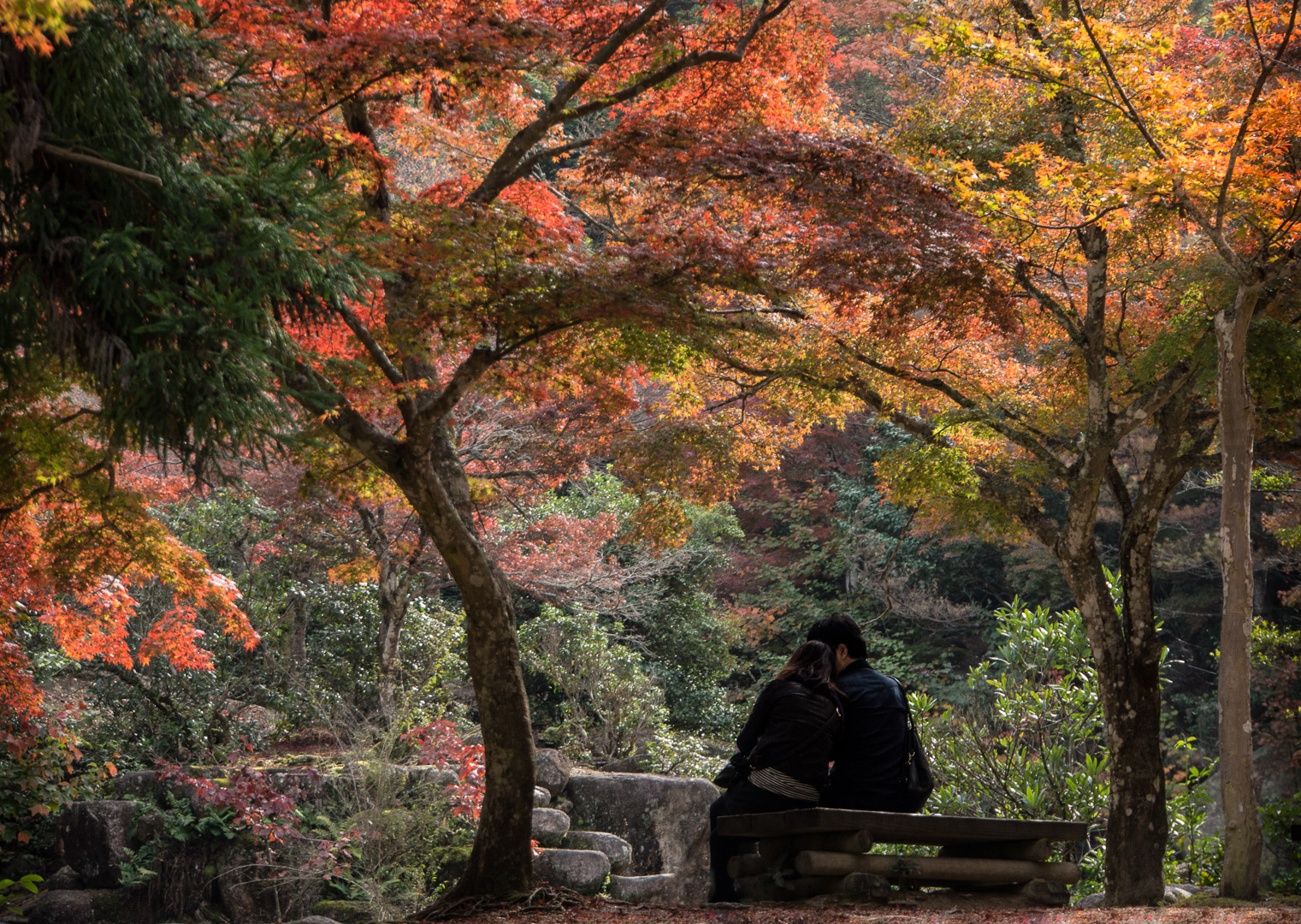 Love in the Fall