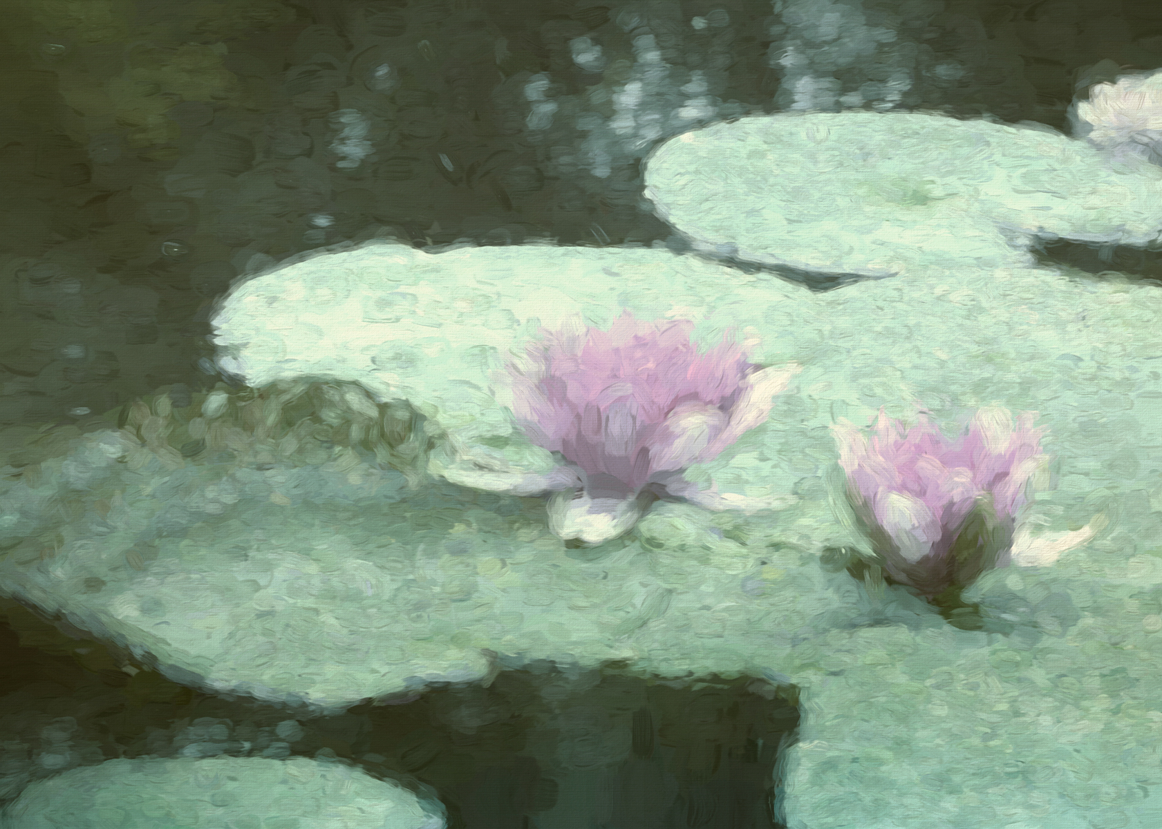 Monet Water Lilies