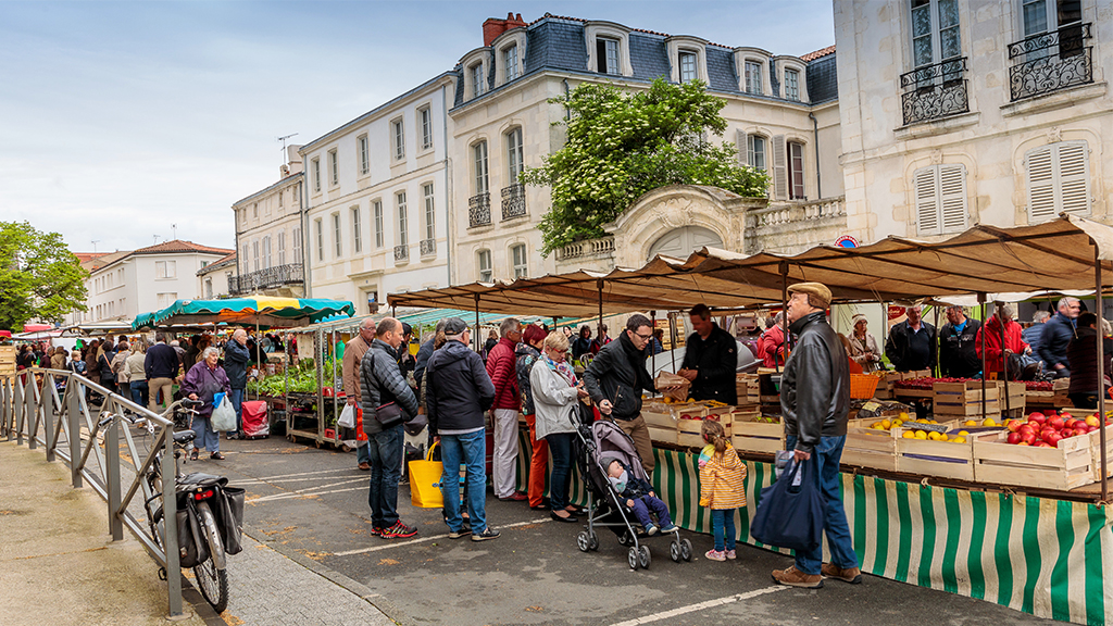 Morning at the Market