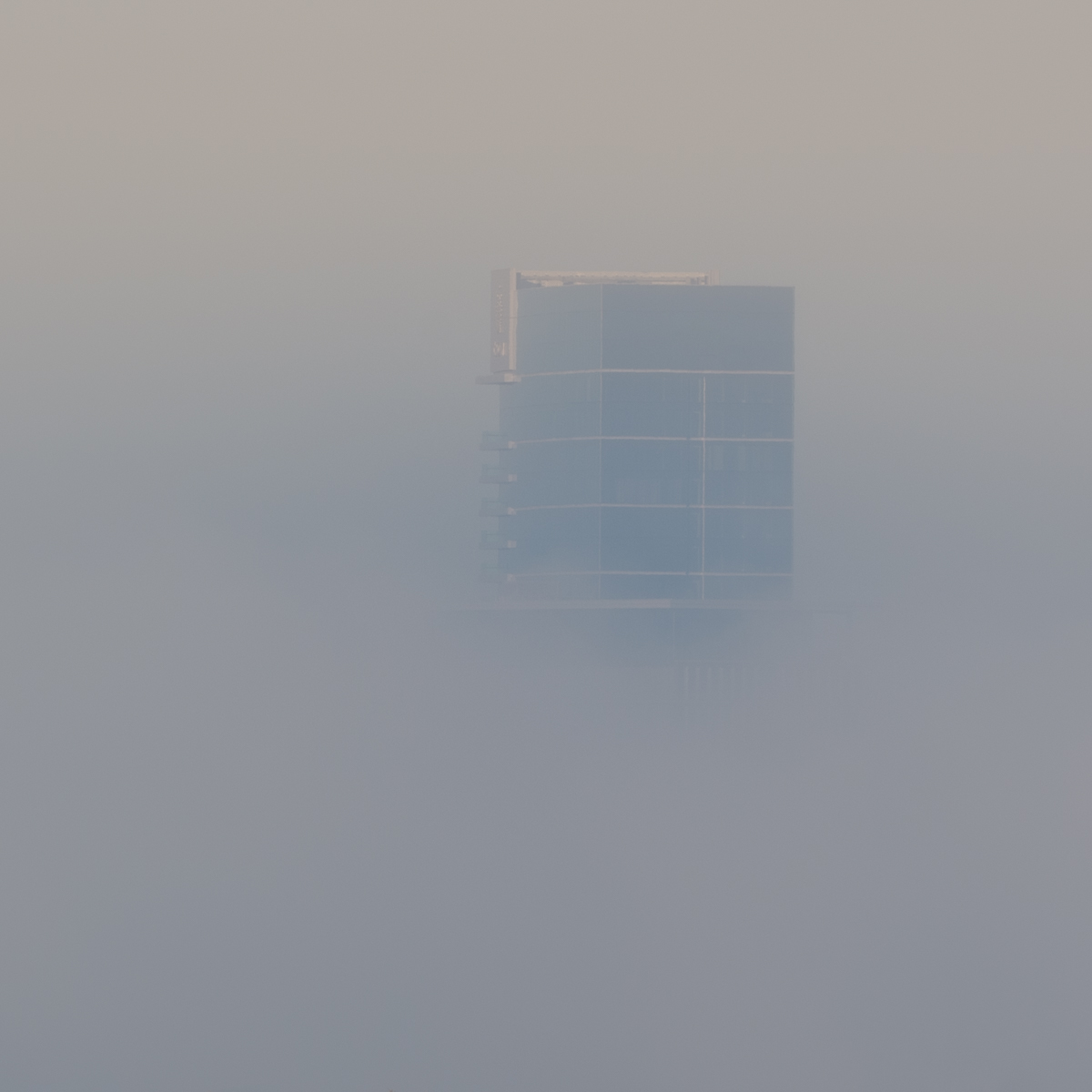 Rising from the Mist