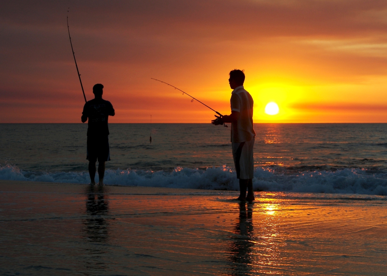 Shoreline Sunset