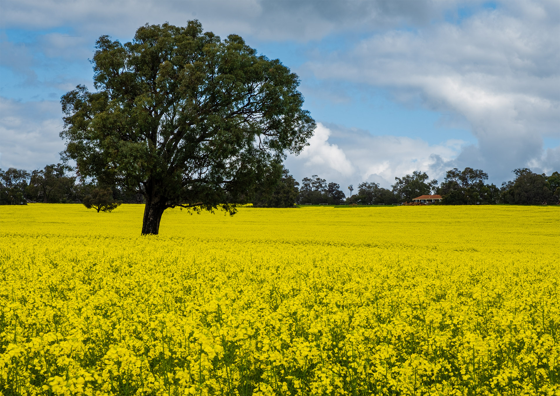 Spring on the Farm