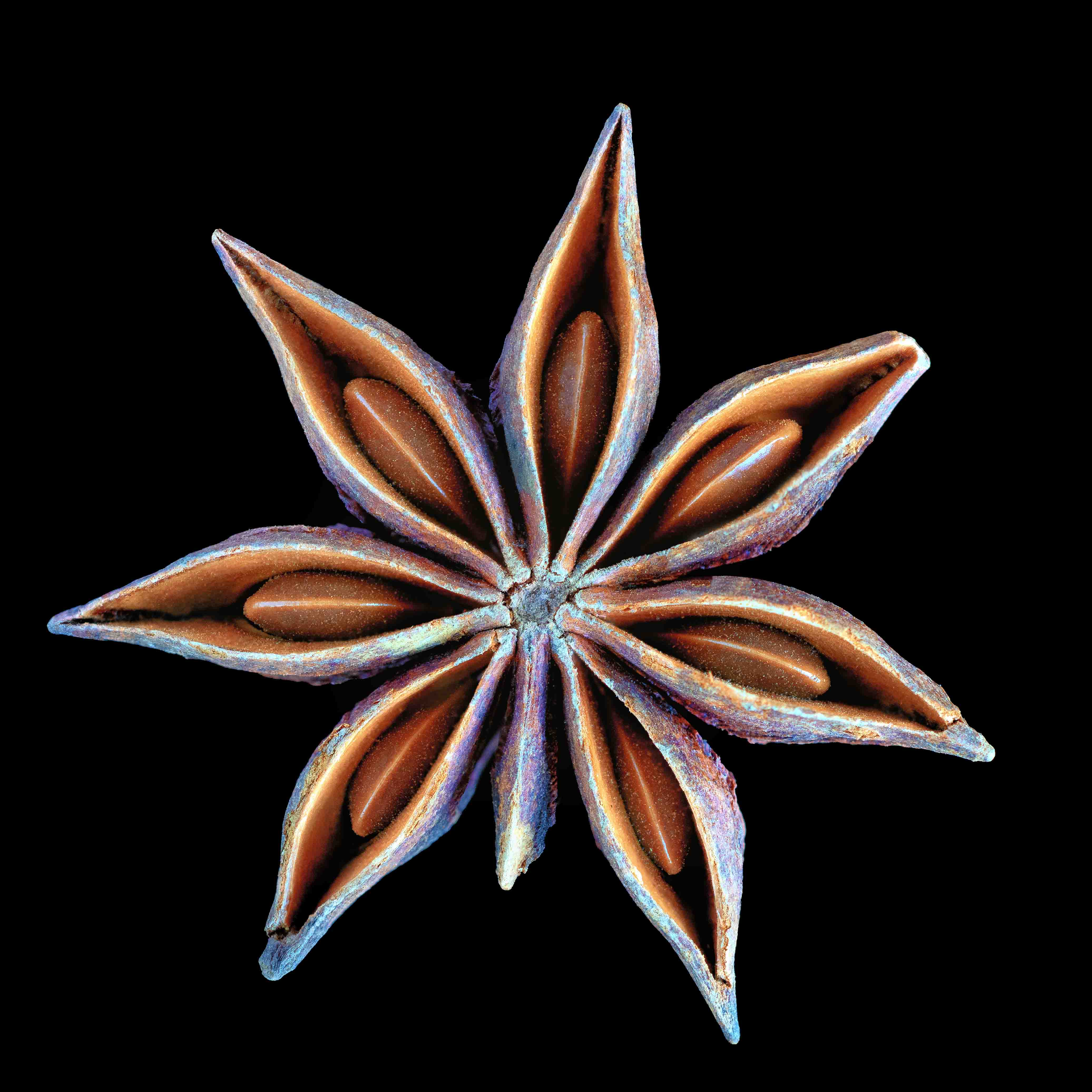 Star Anise