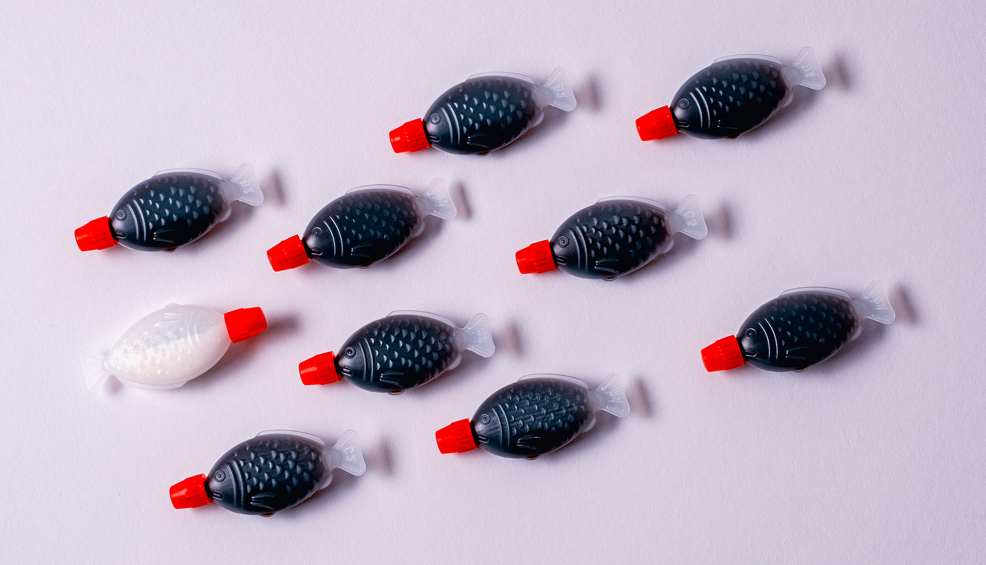 Sushi Fish