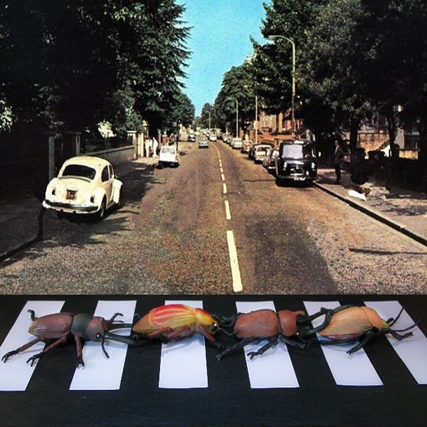 The Beetles Abbey Road