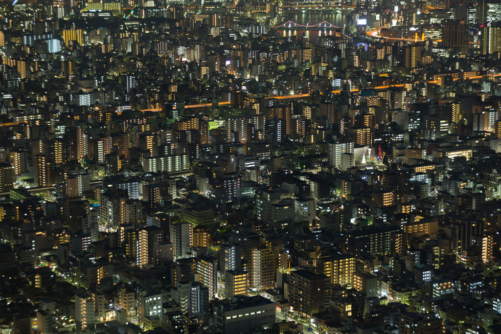 Tokyo From Above