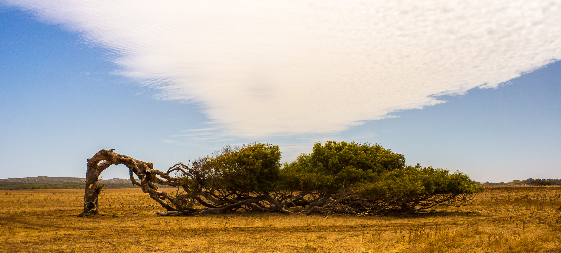 Wind Power