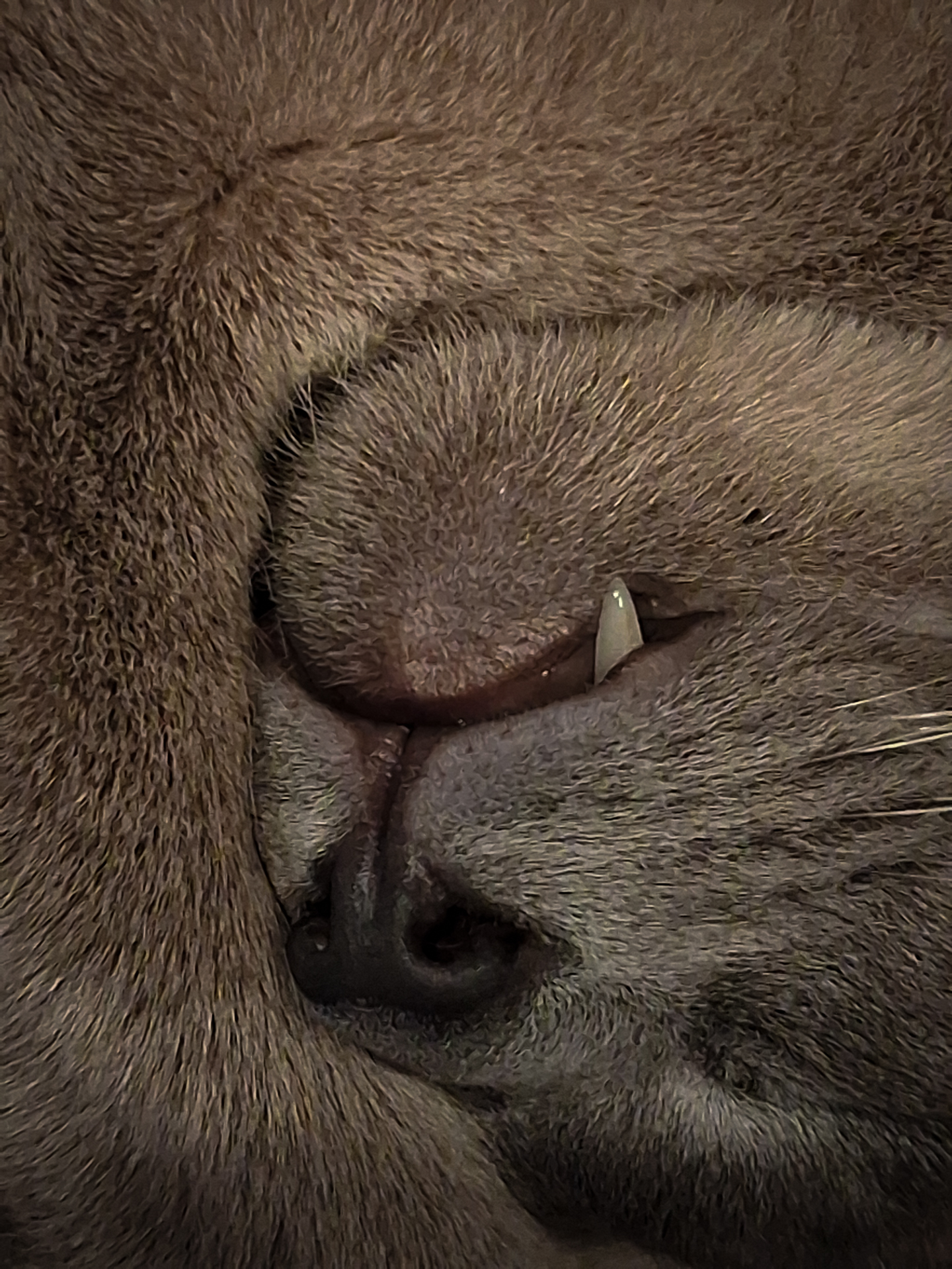 Sleeping