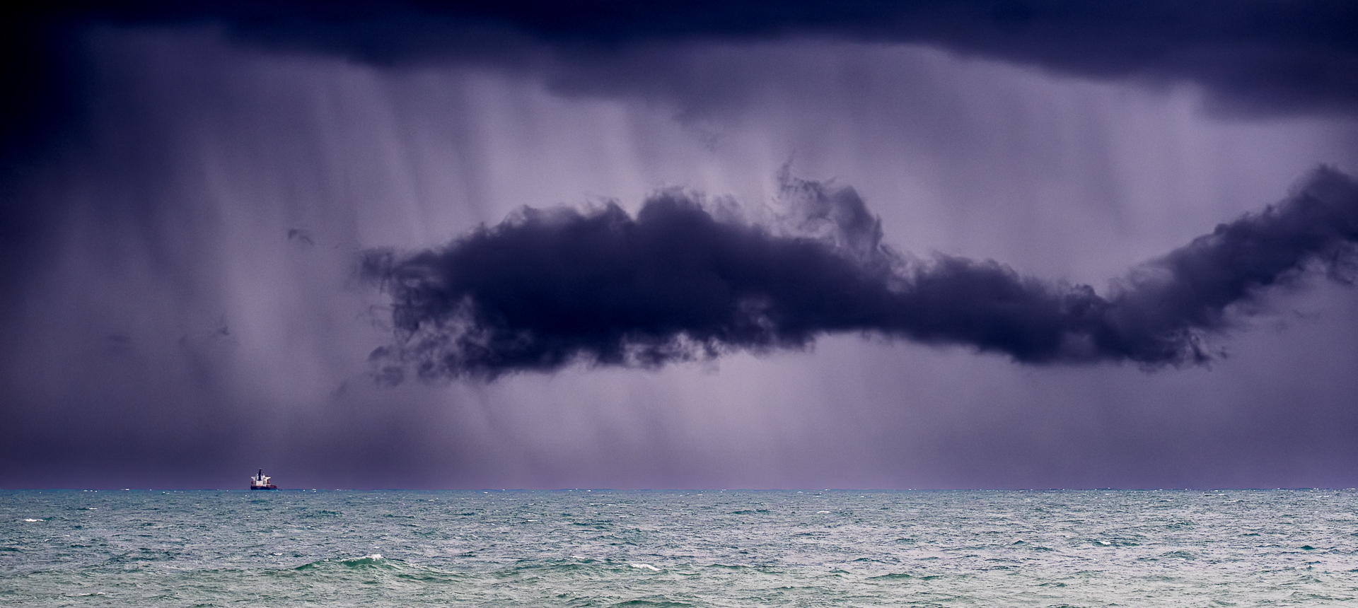 Storm Dragon