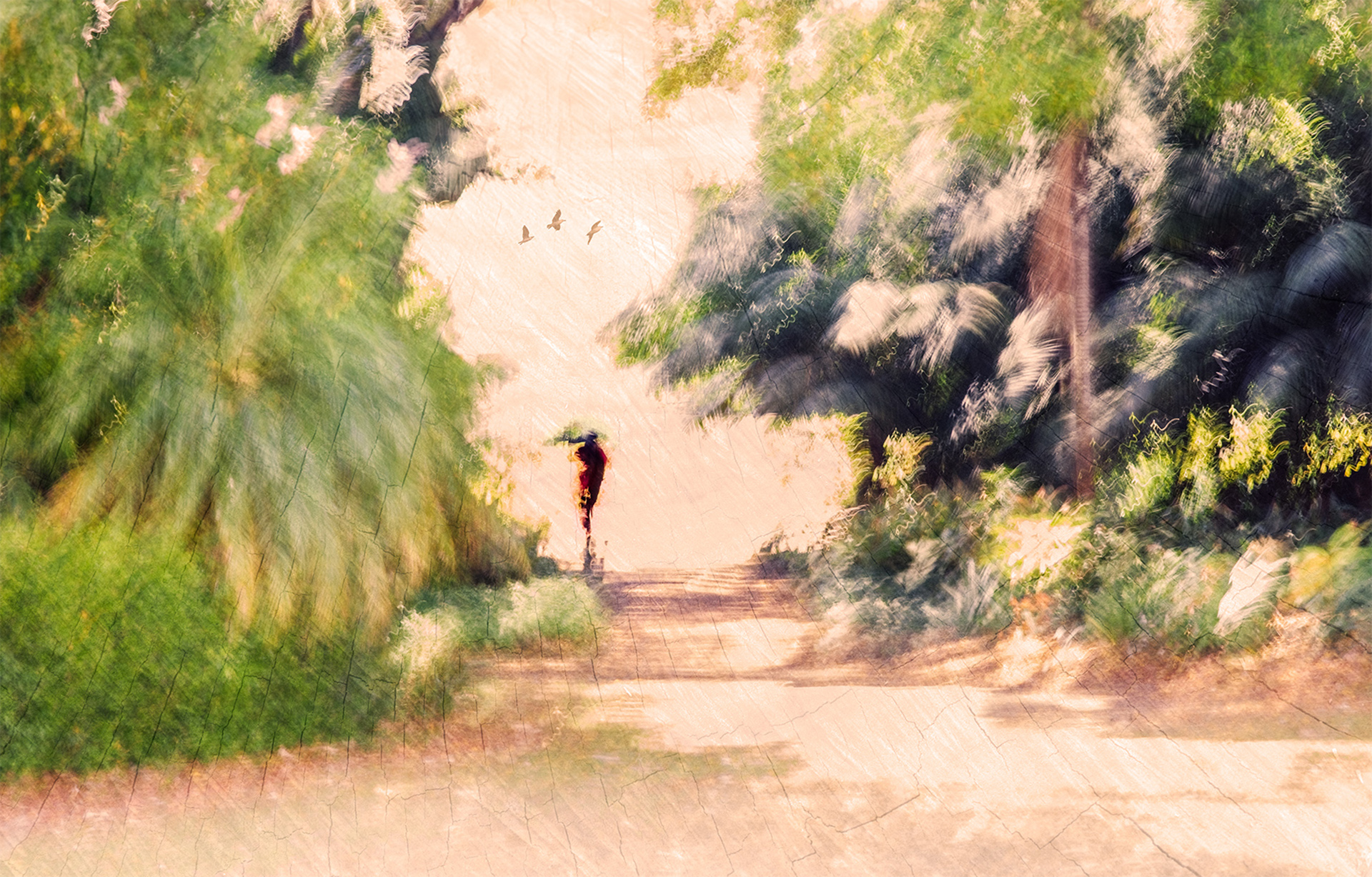 Sunday Stroll