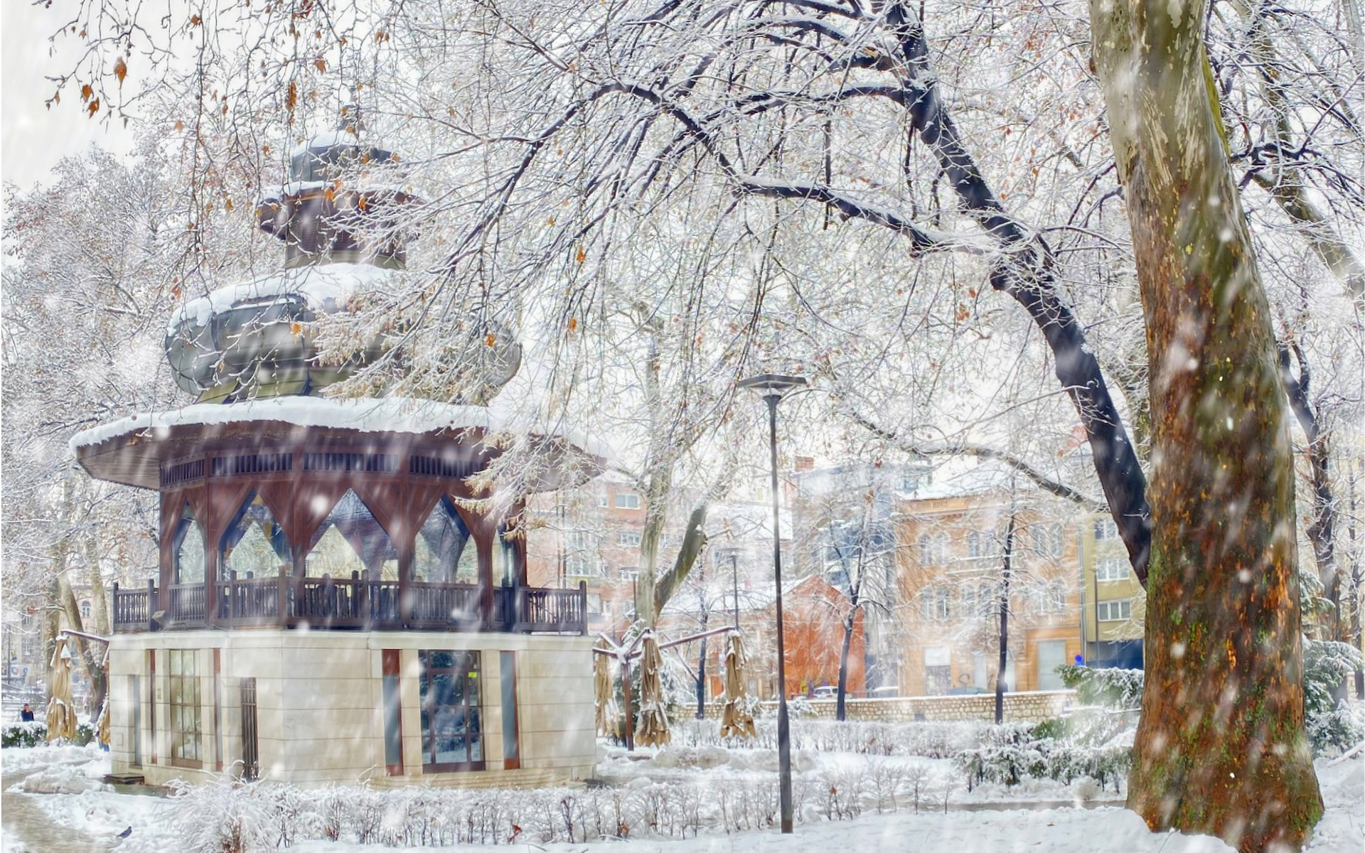 Winter in Horse Square Park