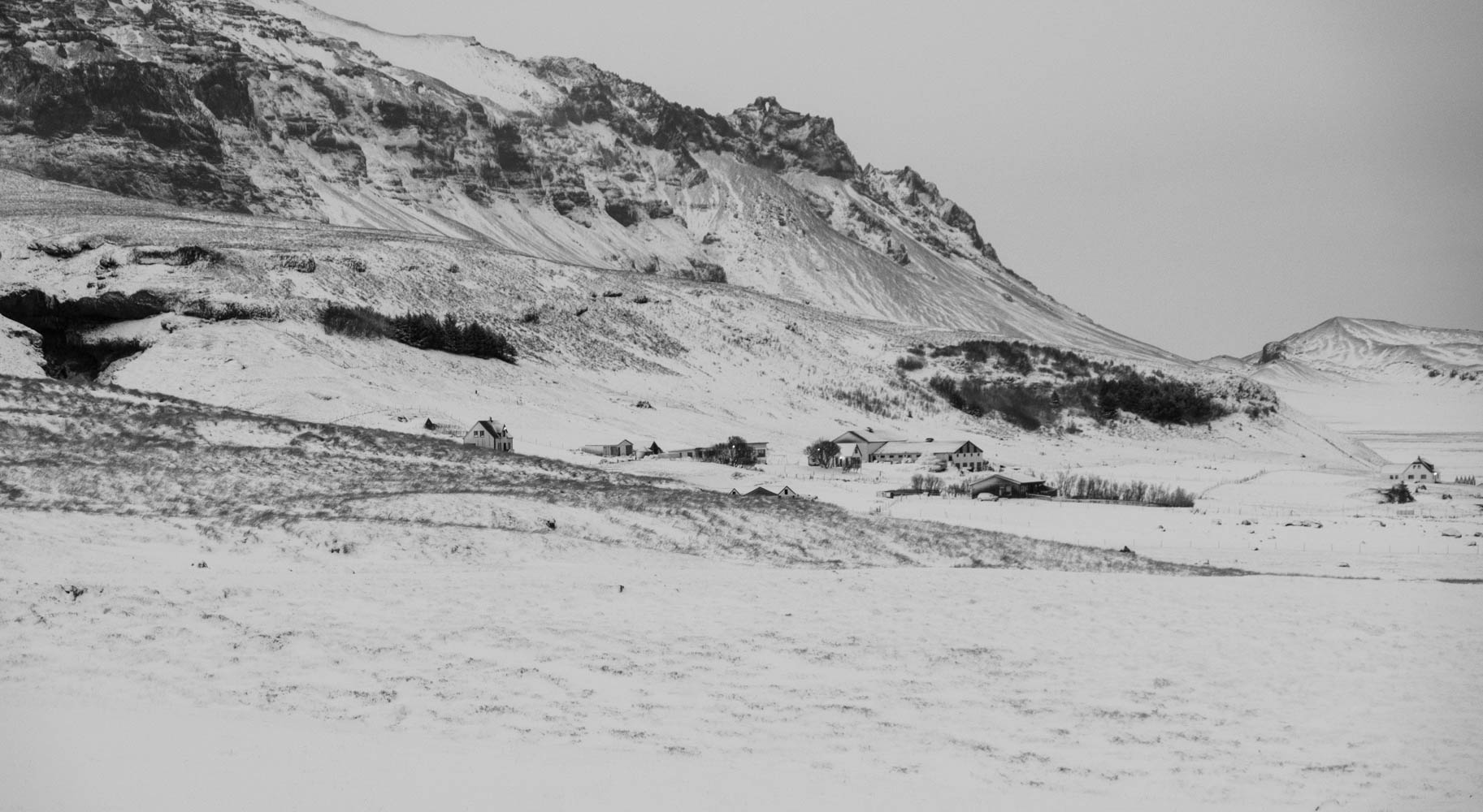Alone in the Snow