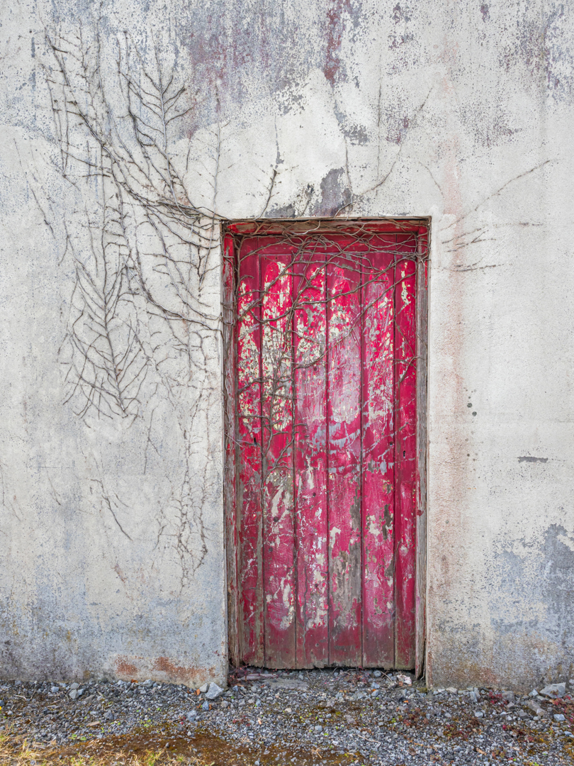 The Red Door