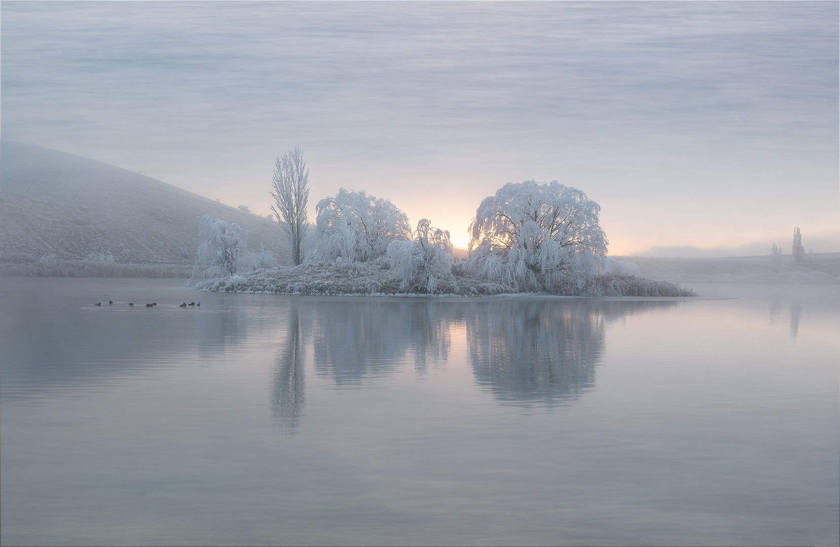 Hoar Frost