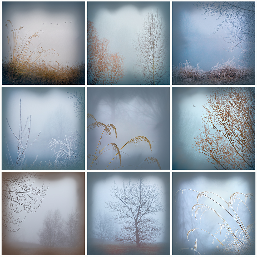 Misty Glimpses