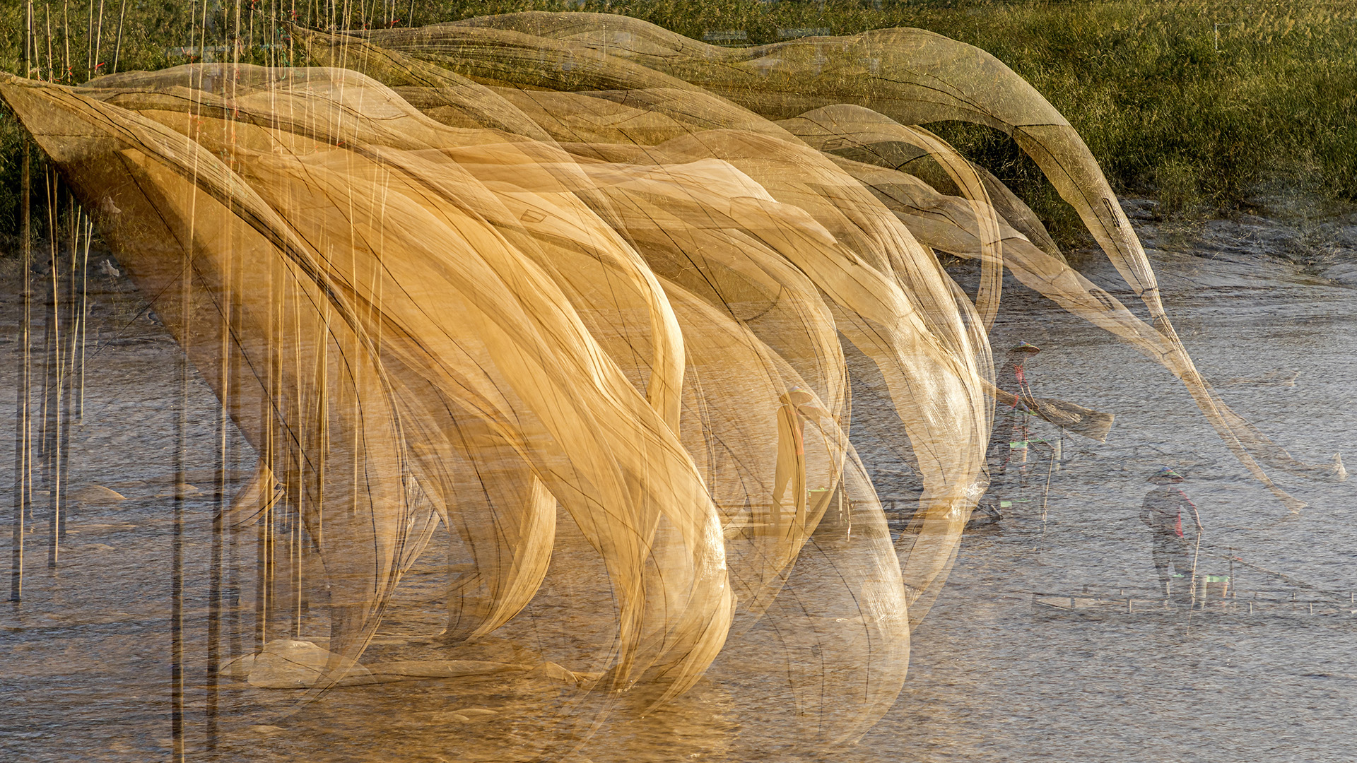 Floating in the Breeze