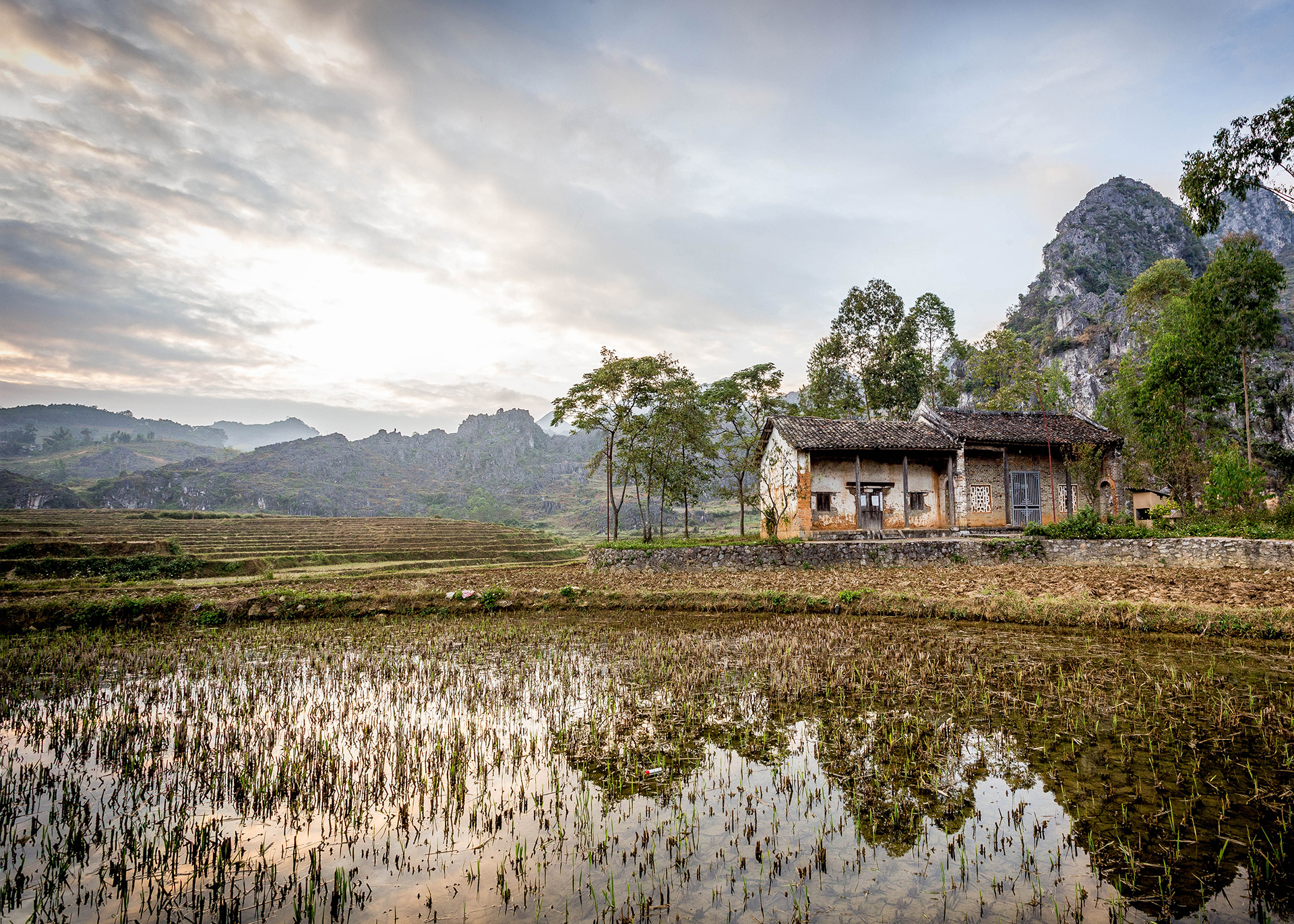 Rice Paddy Reflections