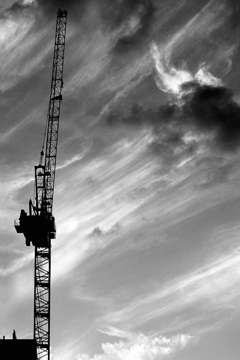 Crane and Clouds
