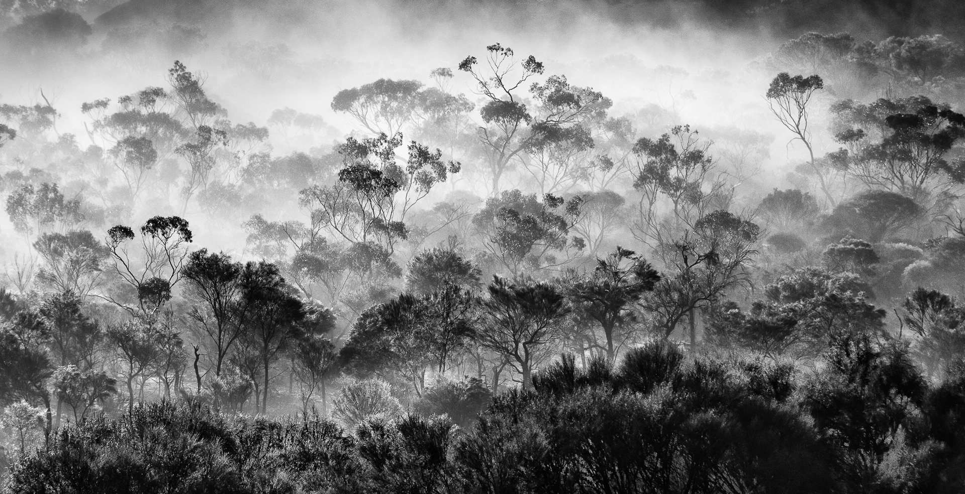 Misty Valley