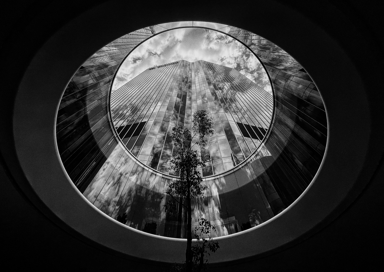 Concentric Circles