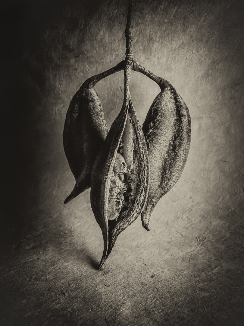 Antique Fertility