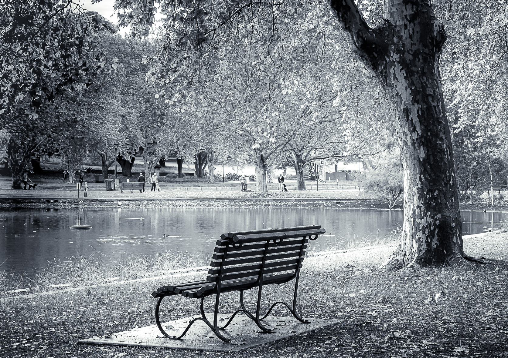 Bench