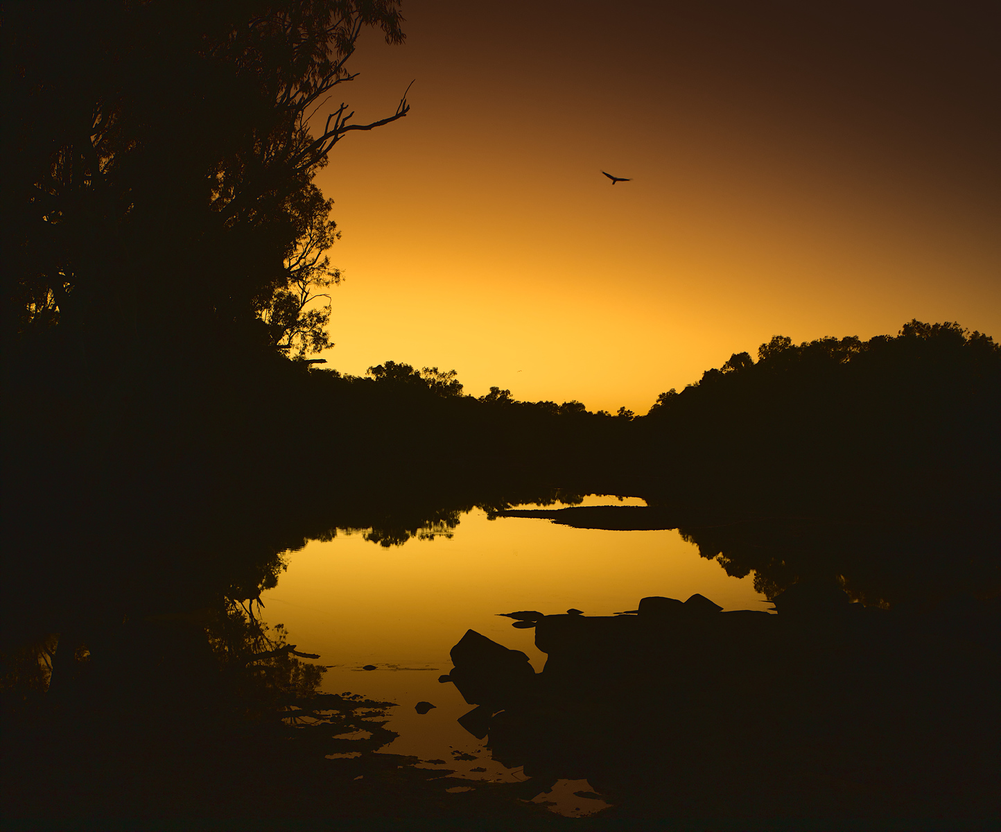 Down by the River at Dawn