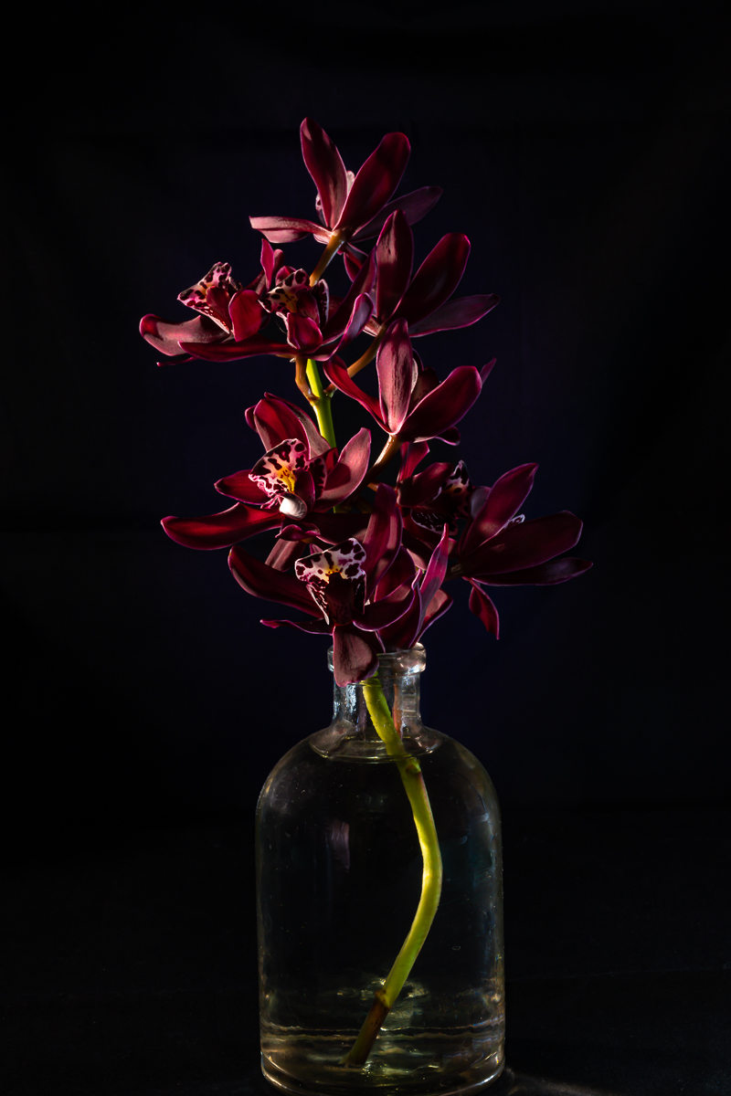 A Deeper Shade of Red
