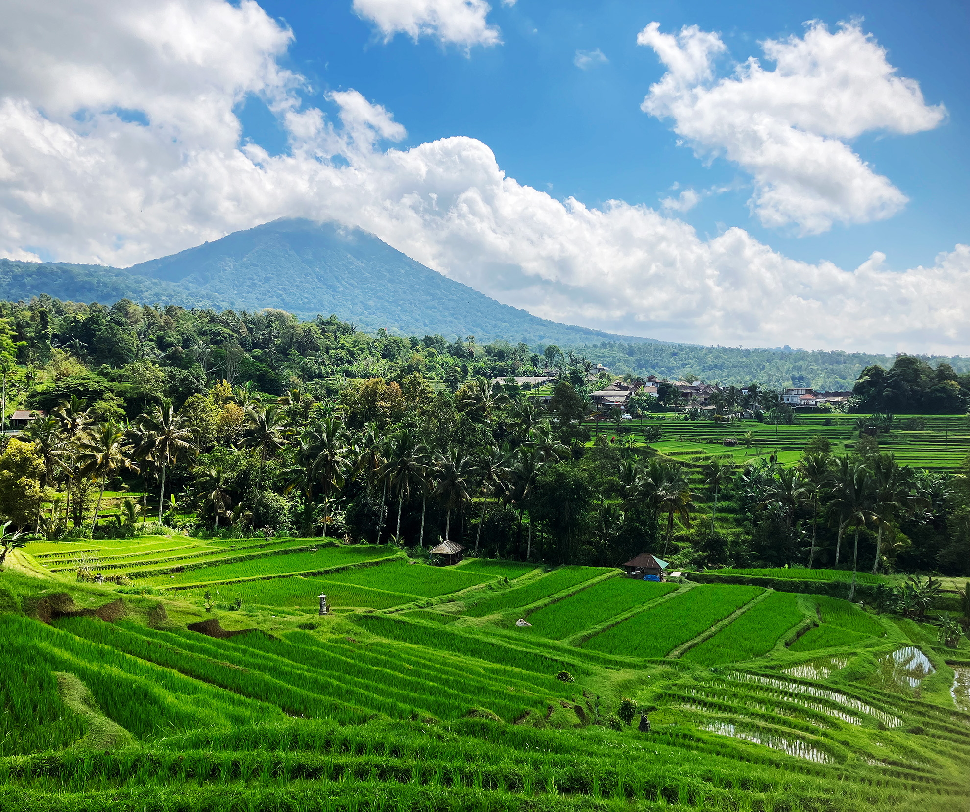 Mount Batur