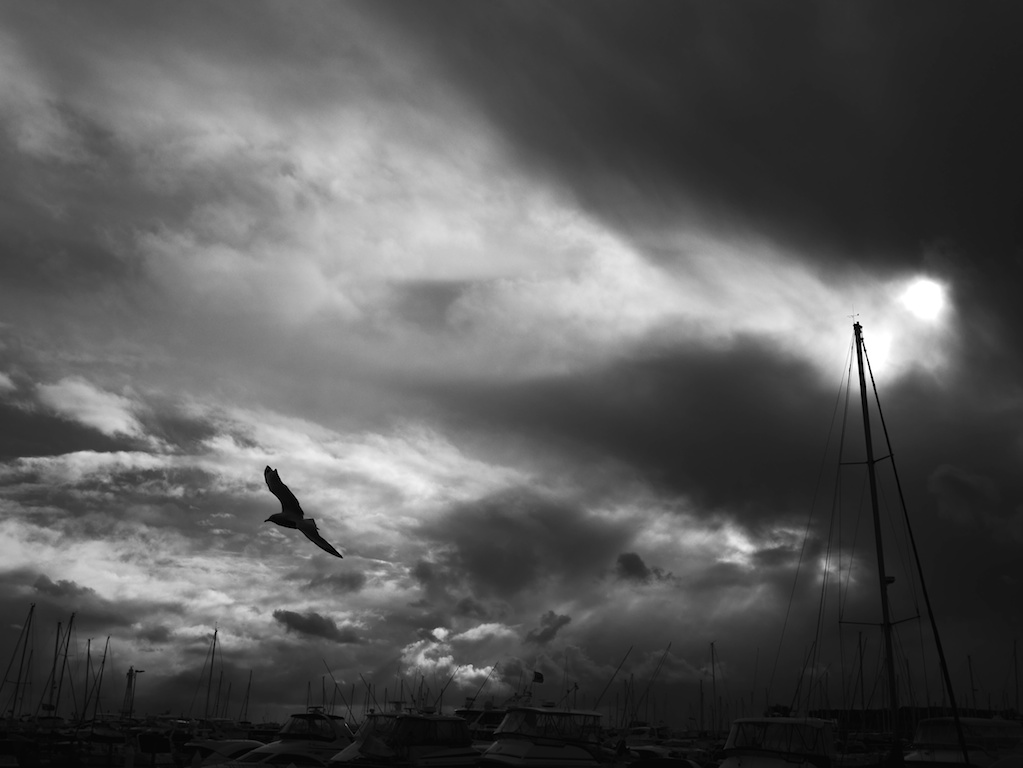 Storm Hillarys