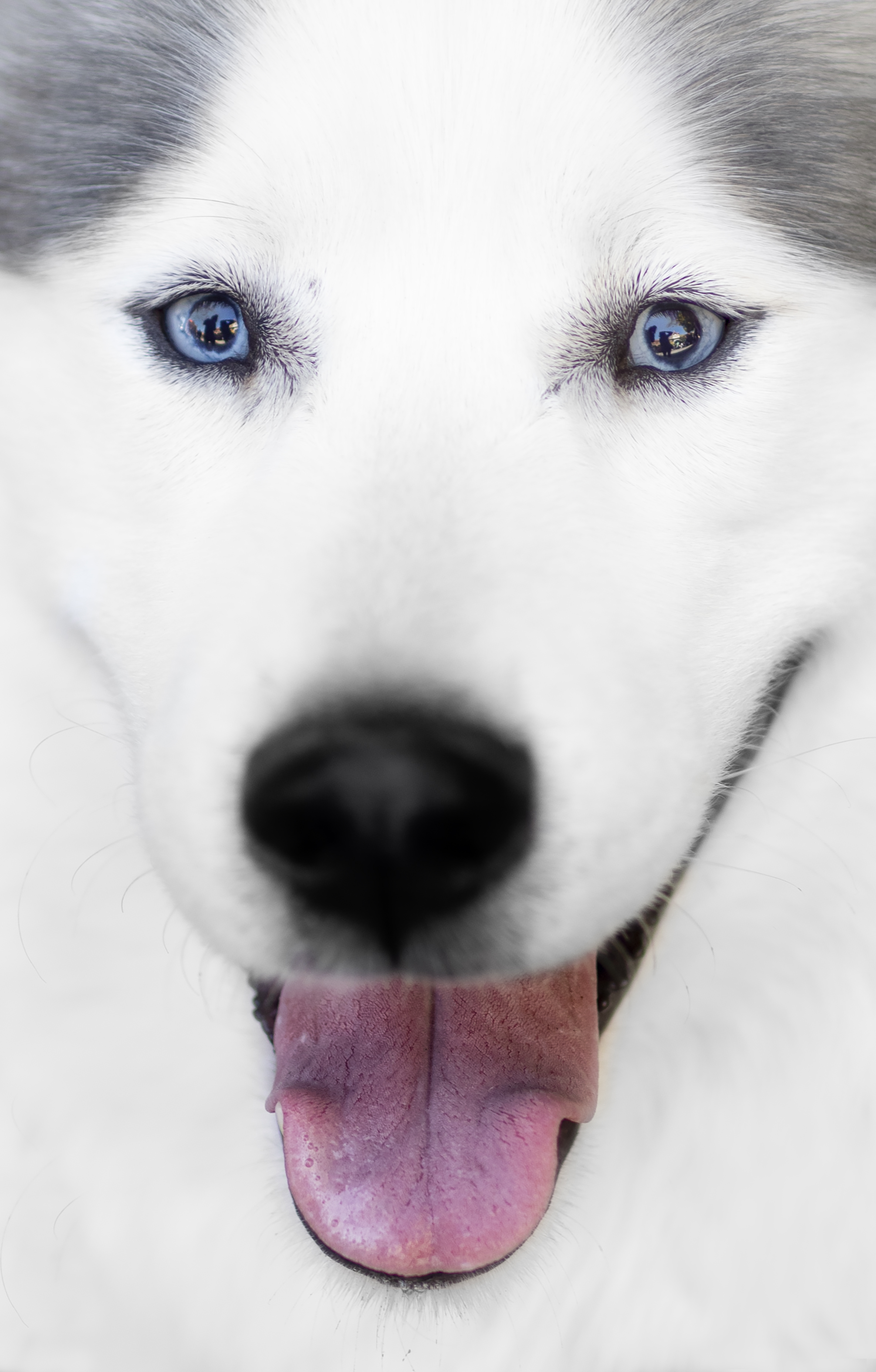 Blue Eyes