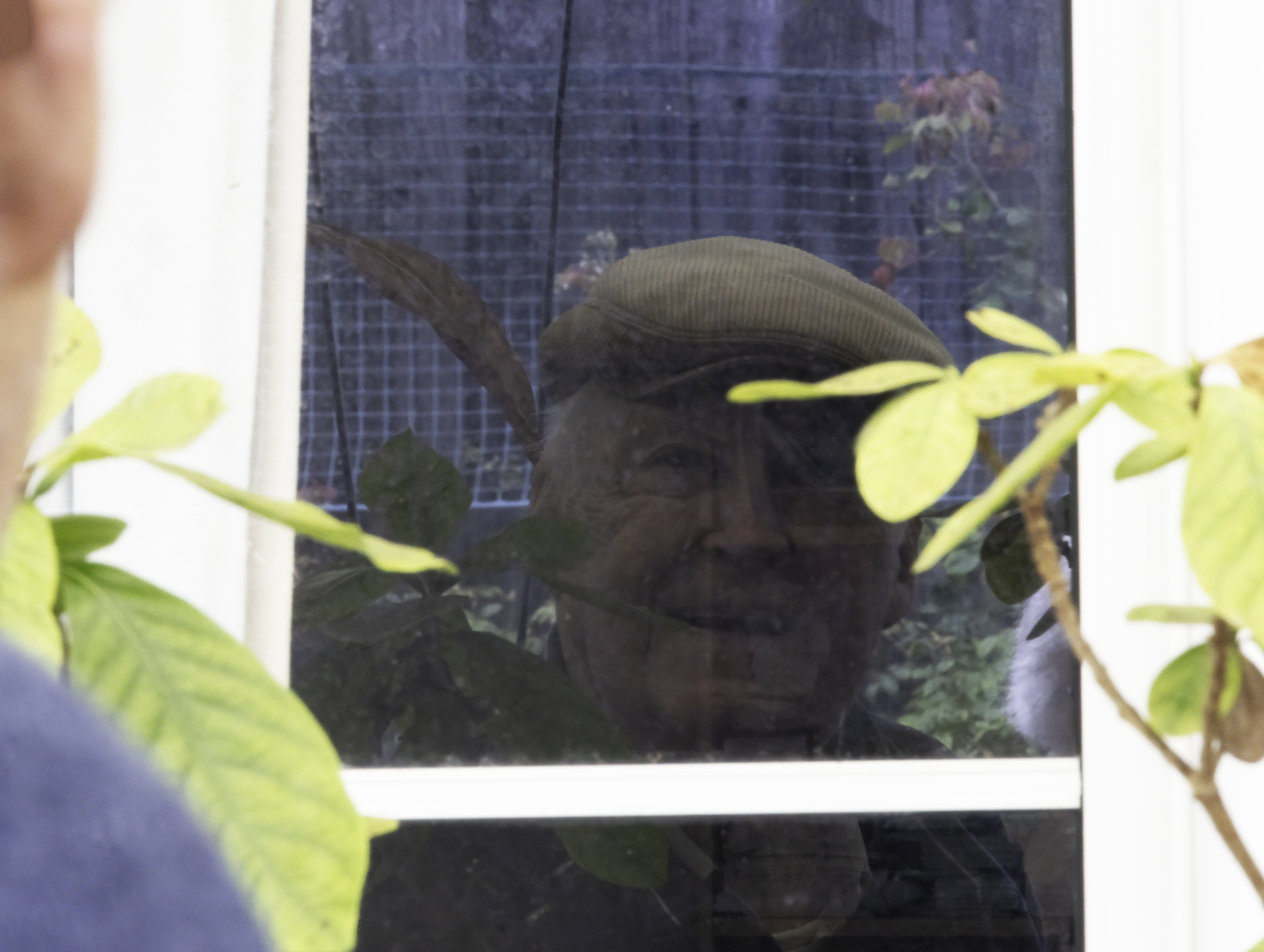 Reflected