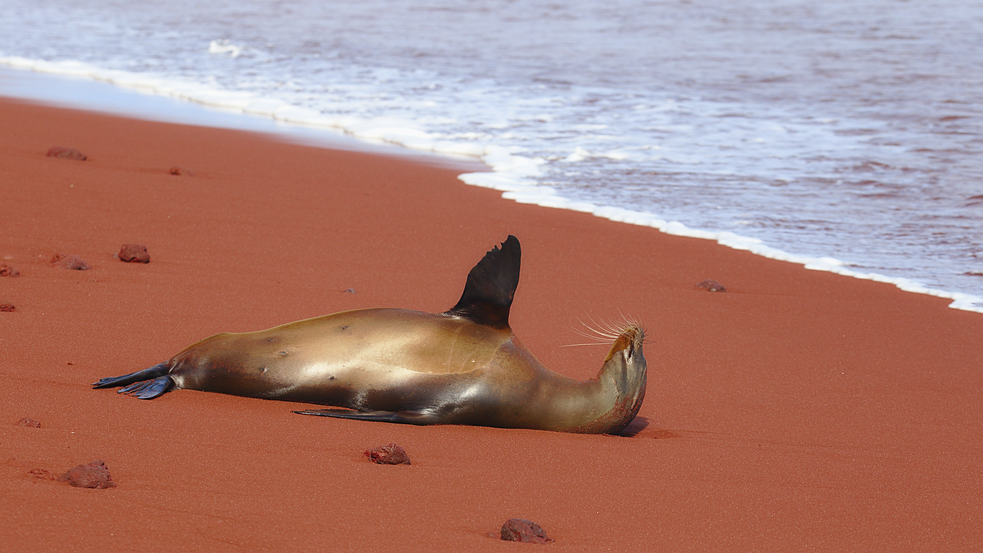 Relaxing on the Beach